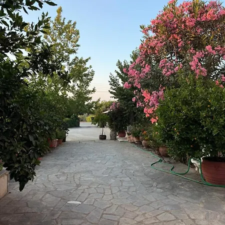 Apartament Nikos & Panagiota *