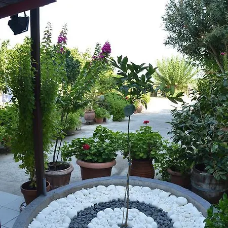 Nikos & Panagiota Apartament