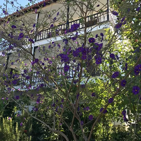 Apartamento Nikos & Panagiota