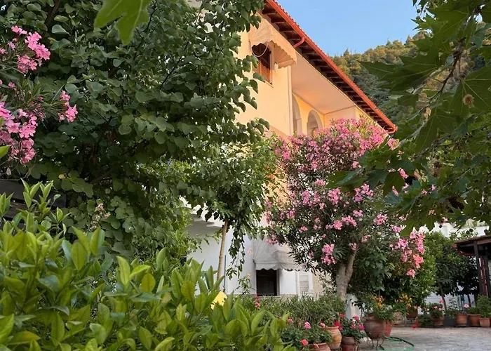 公寓 Nikos & Panagiota 沃尔沃罗